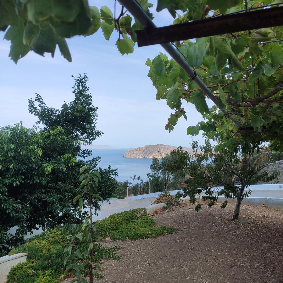 Villa Kefali Kavoúsion 외부 사진