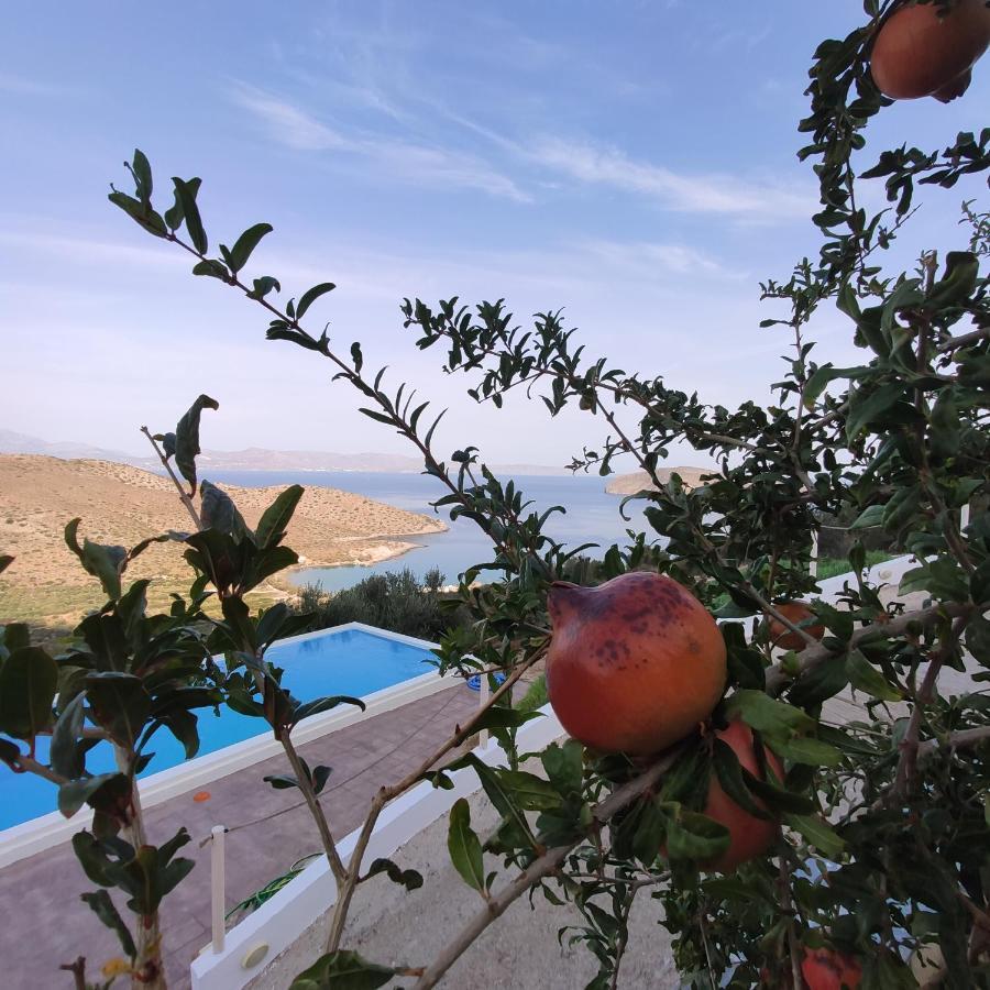 Villa Kefali Kavoúsion 외부 사진